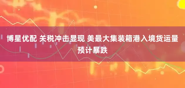 博星优配 关税冲击显现 美最大集装箱港入境货运量预计暴跌
