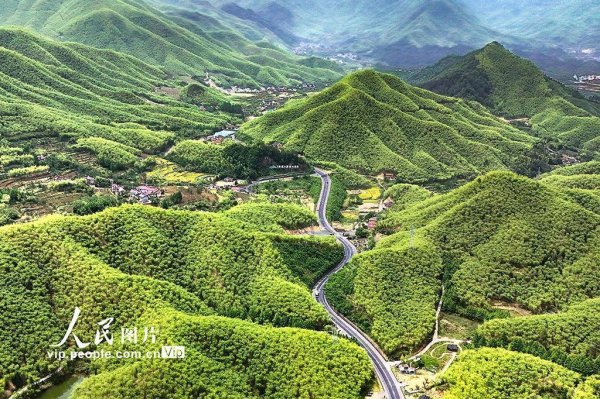 凯丰配资 浙江安吉：初夏竹乡绿意盎然