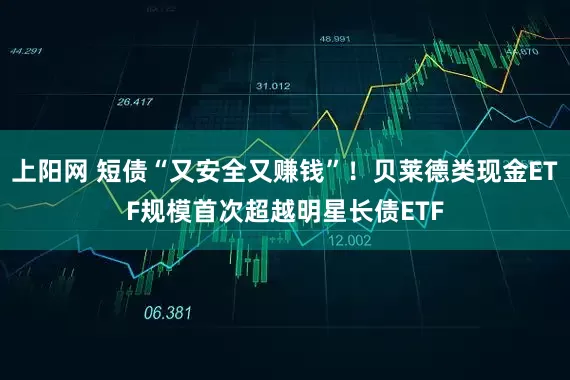 上阳网 短债“又安全又赚钱”！贝莱德类现金ETF规模首次超越明星长债ETF