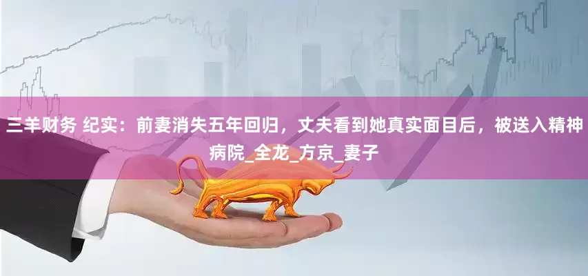 三羊财务 纪实：前妻消失五年回归，丈夫看到她真实面目后，被送入精神病院_全龙_方京_妻子