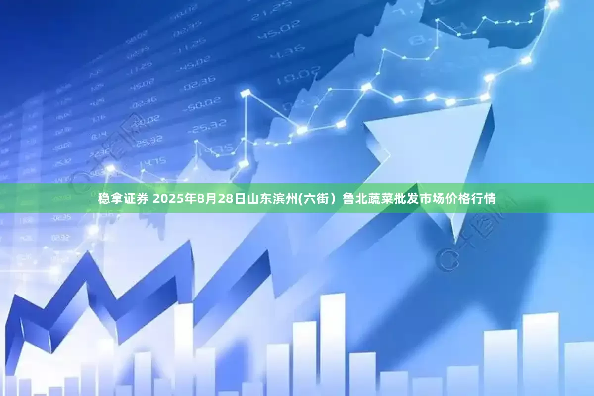 稳拿证券 2025年8月28日山东滨州(六街）鲁北蔬菜批发市场价格行情