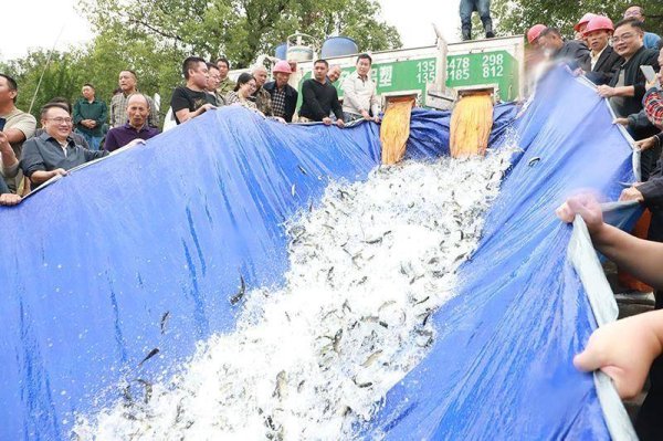 方道配资 邵阳市双清区开展2025年水生生物增殖放流暨水生生物资源保护活动